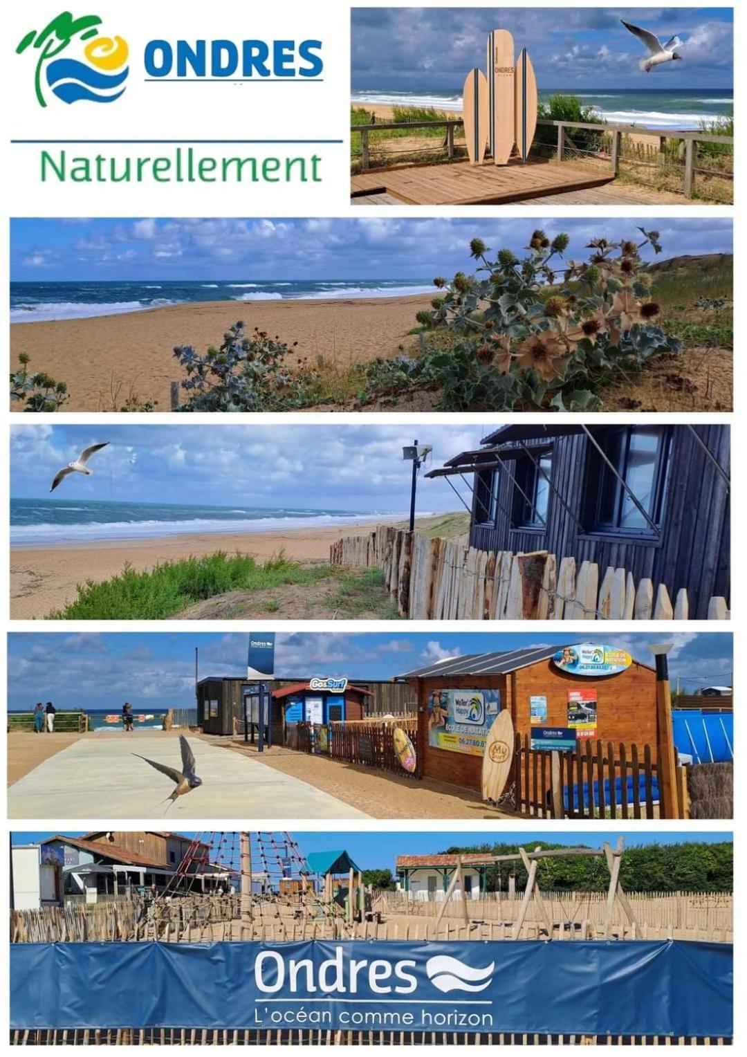 T2 Turquoise Ondres Plage Avec Piscine Et Tennis Luaran gambar